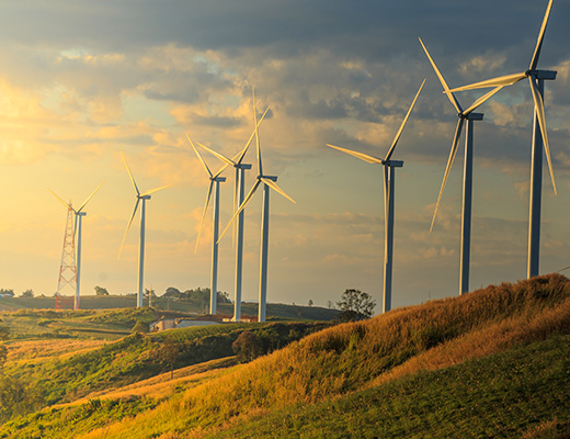 Indian renewable energy sector