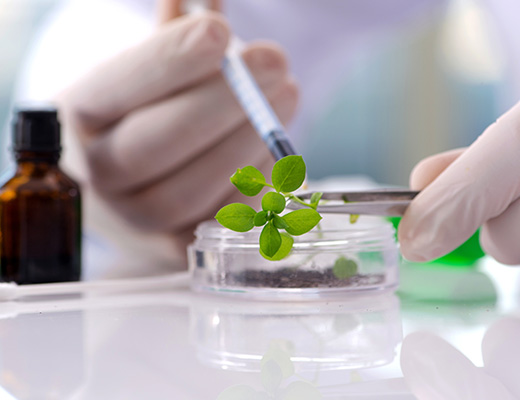 Biotechnology India