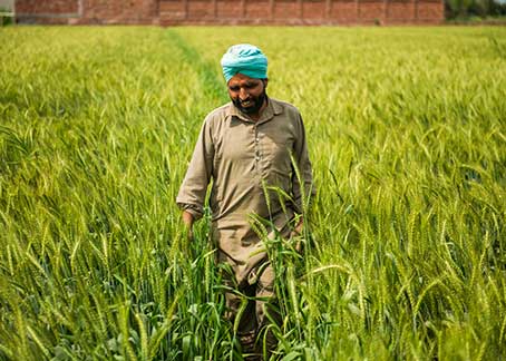 Punjab farmer