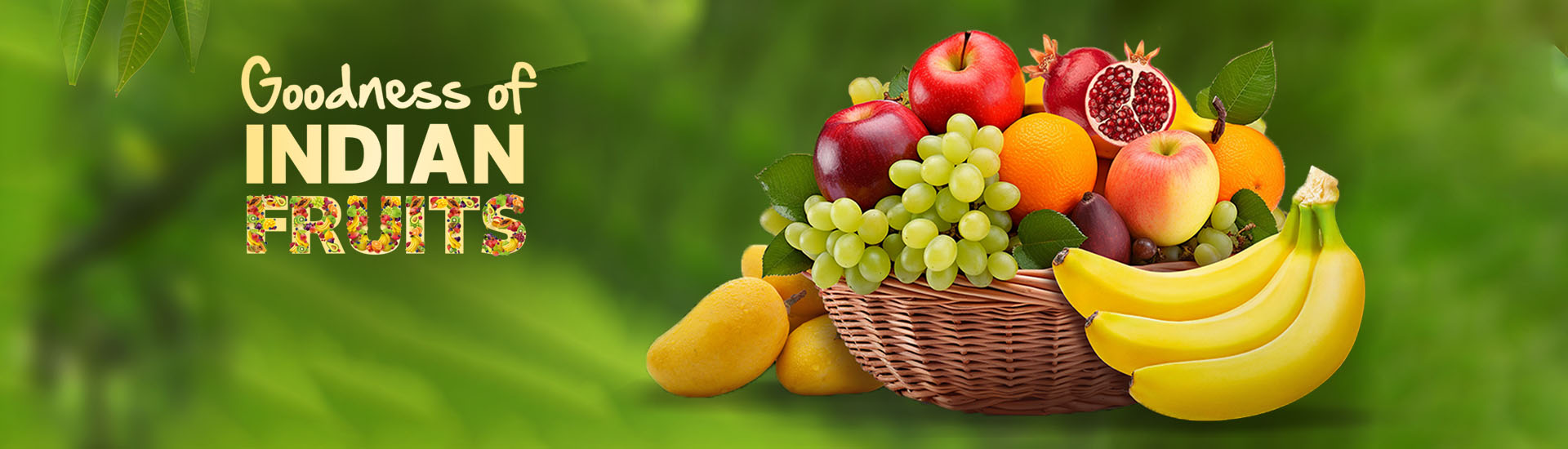 fruits-banner.jpg