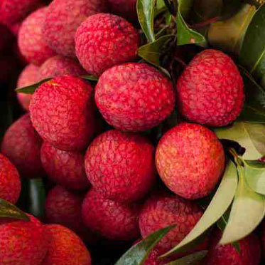 Tezpur Litchi