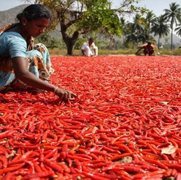 LUCKNOW CHIKAN CRAFT