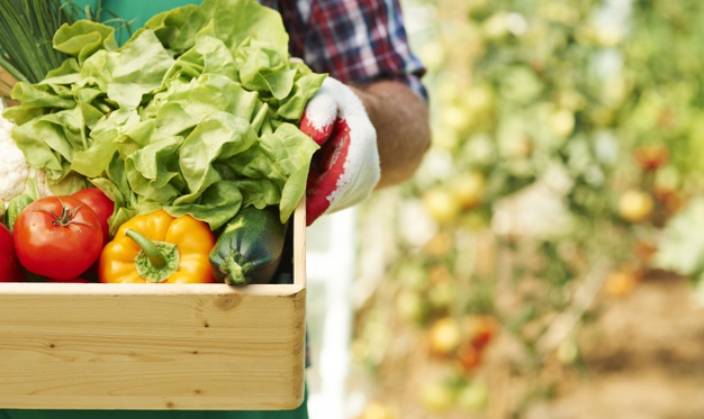 Export Potential of Organic and Horticulture Produce