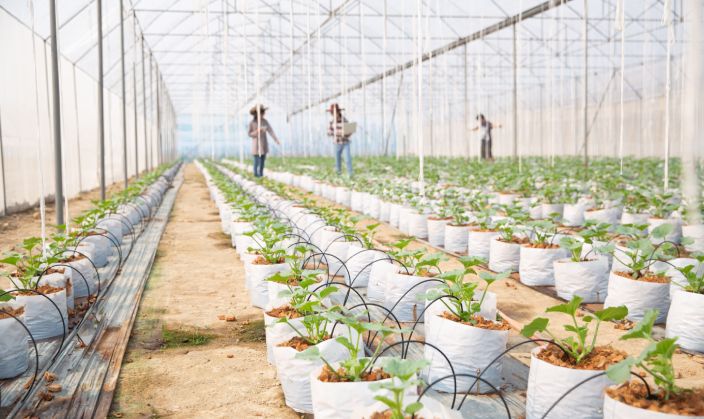 Overview of Agri Clinic and Agri-Business Centres Scheme (ACABC)