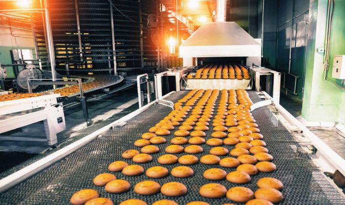 An Overview of the Indian Food Processing Sector