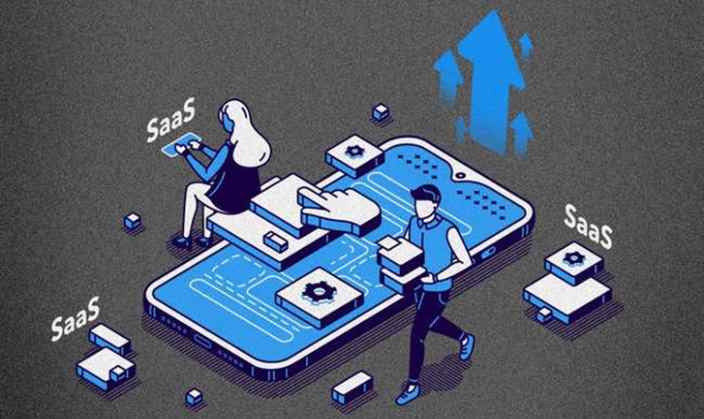 Bellwethers of Indian SaaS: Indian SaaS growth