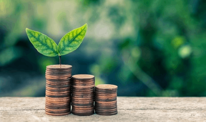 The Growth of Green Finance and its Impact on India’s Sustainable Development