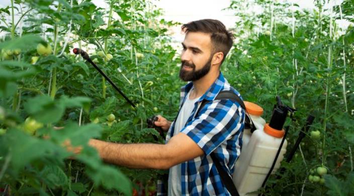 India to become Aatmanirbhar in Phosphatic Fertilisers