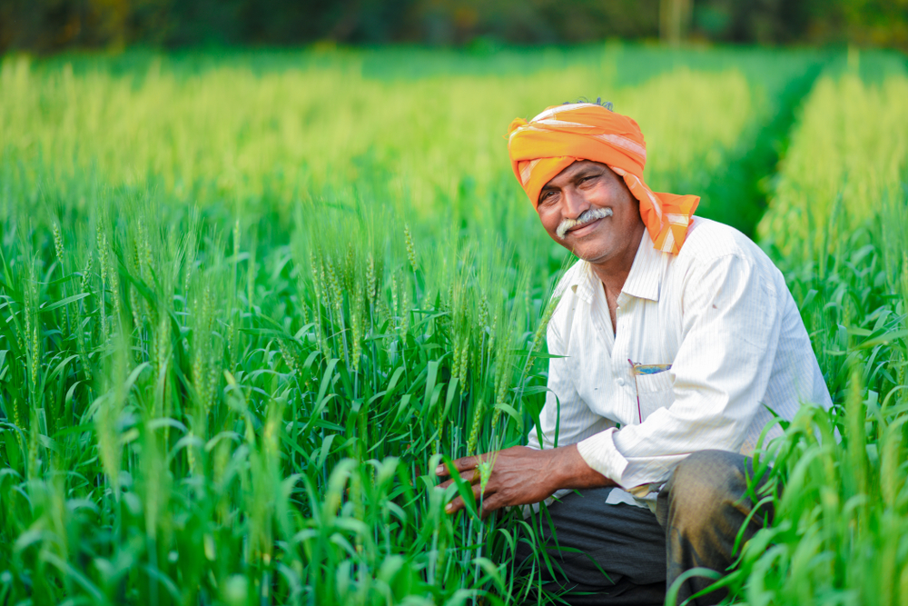 India's Promising New Agricultural Policy