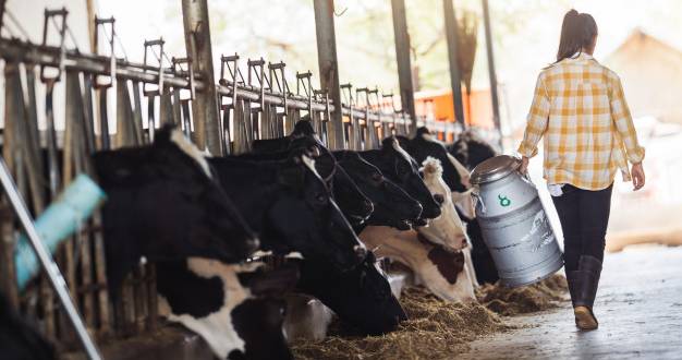 Digitalisation of India's Dairy Farming