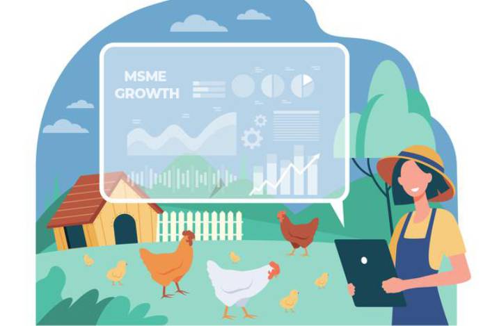 Role of e-commerce in MSME growth