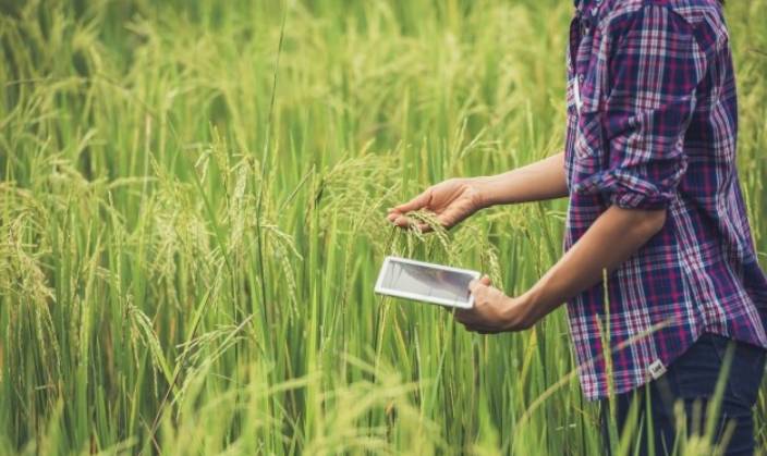 Digital Agriculture - The Future of Indian Agriculture