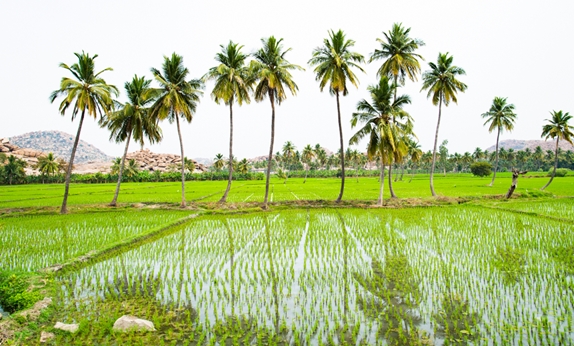From smart water pumps to drones: Technology is changing Indian farms!